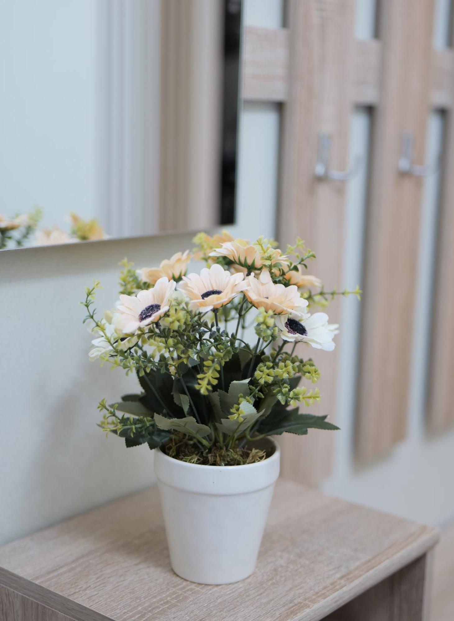 City Center Rooms And Apartments ดูร์เรส ภายนอก รูปภาพ
